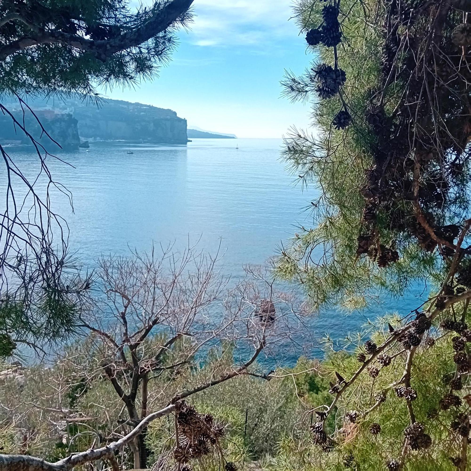 Villa La Galetta Vico Equense Eksteriør billede