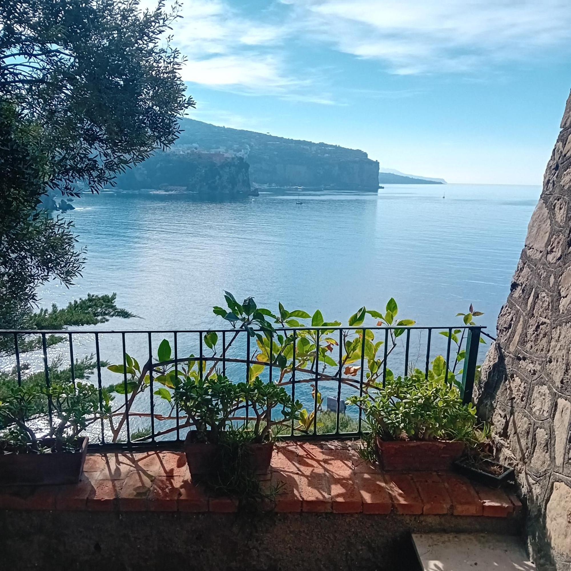 Villa La Galetta Vico Equense Eksteriør billede