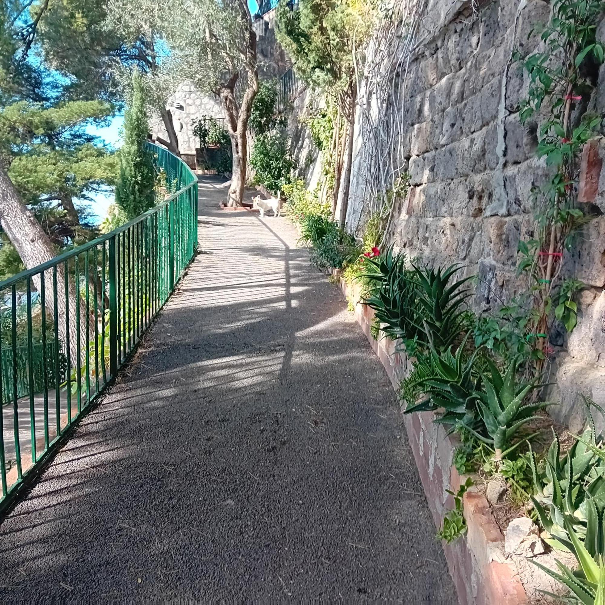 Villa La Galetta Vico Equense Eksteriør billede