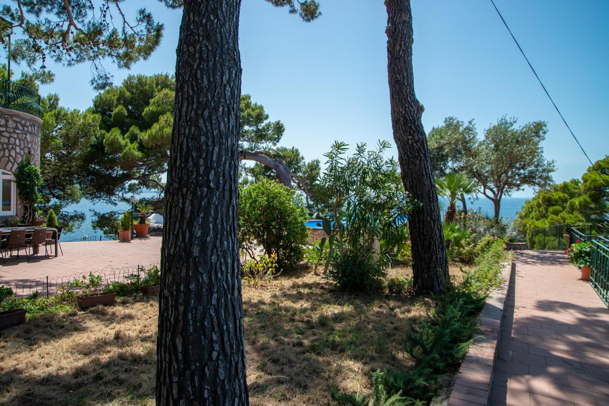 Villa La Galetta Vico Equense Eksteriør billede