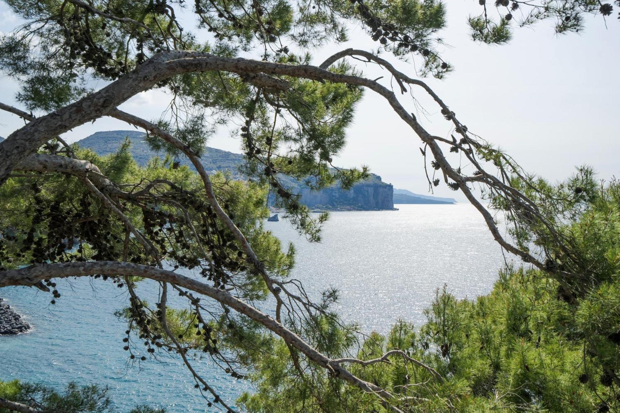Villa La Galetta Vico Equense Eksteriør billede